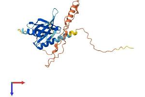 PID1 Protein (AA 1-250) (His tag)