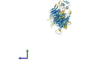 AlphaFold protein structure predicition of Human Recombinant HPS6 Protein, UniprotID Q86YV9 (HPS6 Protein (AA 1-775) (His tag))