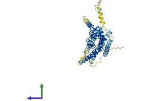 AlphaFold protein structure predicition of Human Recombinant GPER1 Protein, UniprotID Q99527 (Mesothelin Protein (MSLN) (AA 1-375) (His tag))