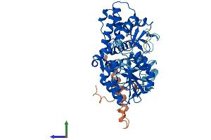 AlphaFold protein structure predicition of Human Recombinant NT5DC2 Protein, UniprotID Q9H857 (NT5DC2 Protein (AA 1-520) (His tag))