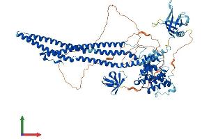 AlphaFold protein structure predicition of Human Recombinant ARHGAP10 Protein, UniprotID A1A4S6 (ARHGAP10 Protein (AA 1-786) (His tag))