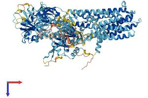 AlphaFold protein structure predicition of Human Recombinant ATP13A2 Protein, UniprotID Q9NQ11 (ATP13A2 Protein (AA 1-1180) (His tag))