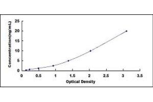 Typical standard curve (O3FAR1 ELISA Kit)