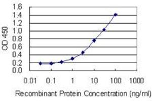 Detection limit for recombinant GST tagged CYP1A2 is 0. (CYP1A2 antibody  (AA 211-310))