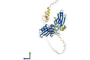 Protein Structure (PS) image for Synaptotagmin XVII (SYT17) (AA 1-474) protein (His tag) (ABIN7544178)