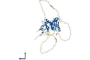 AlphaFold protein structure predicition of Mouse Recombinant Kctd20 Protein, UniprotID Q8CDD8