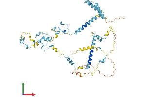 AlphaFold protein structure predicition of Human Recombinant ZC3H15 Protein, UniprotID Q8WU90 (ZC3H15 Protein (AA 1-426) (His tag))