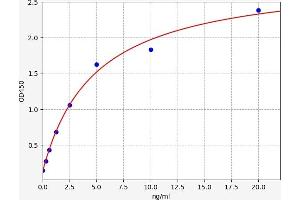 Typical standard curve (Cofilin ELISA Kit)