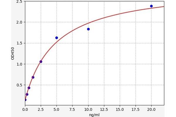 Cofilin ELISA Kit