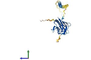 Protein Structure (PS) image for Fas Ligand (TNF Superfamily, Member 6) (FASL) (AA 1-281) protein (His tag) (ABIN7544498)