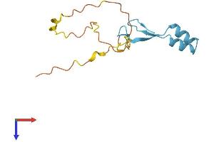 AlphaFold protein structure predicition of Mouse Recombinant Bri3 Protein, UniprotID P28662