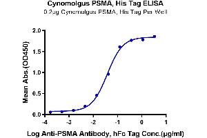 Immobilized Cynomolgus PSMA, His Tag at 2 μg/mL (100 μL/Well) on the plate. (PSMA Protein (AA 44-750) (His tag))