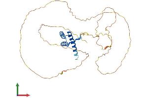 Protein Structure (PS) image for Homeobox D13 (HOXD13) (AA 1-339) protein (His tag) (ABIN7556676)