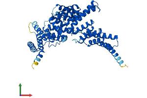 Protein Structure (PS) image for Interferon-Induced Protein with Tetratricopeptide Repeats 1 (IFIT1) (AA 1-478) protein (His tag) (ABIN7554144)