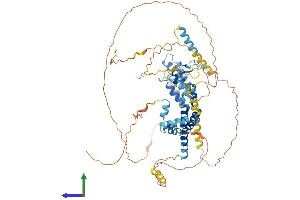 AlphaFold protein structure predicition of Mouse Recombinant Brd7 Protein, UniprotID O88665 (BRD7 Protein (AA 1-651) (His tag))