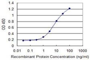 Detection limit for recombinant GST tagged ASH2L is 0. (ASH2L antibody  (AA 424-530))