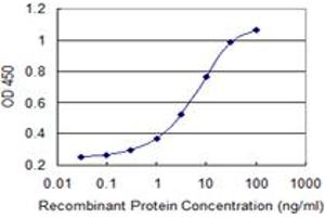 Detection limit for recombinant GST tagged MED9 is 0. (MED9 antibody  (AA 1-146))