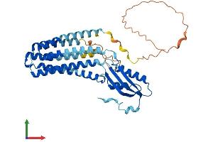 AlphaFold protein structure predicition of Human Recombinant SLC30A3 Protein, UniprotID Q99726