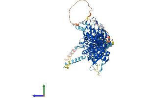 AlphaFold protein structure predicition of Human Recombinant PLA2G6 Protein, UniprotID O60733 (PLA2G6 Protein (AA 1-806) (His tag))