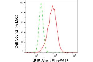 Flow cytometric analysis of JUP expression in HepG2 cells using JUP antibody (ABIN7799151), 1:2,000). (Recombinant JUP antibody)