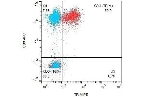 Intracellular staining of human peripheral blood with mAb PE. (TRIM antibody  (AA 29-186) (PE))