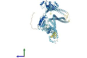AlphaFold protein structure predicition of Human Recombinant SMC2 Protein, UniprotID O95347