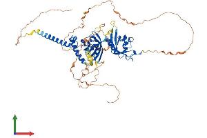 AlphaFold protein structure predicition of Mouse Recombinant Npas1 Protein, UniprotID P97459 (NPAS1 Protein (AA 1-594) (His tag))