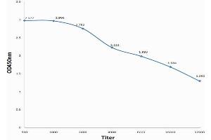 Antigen: 0. (SCGB1A1 antibody  (AA 21-86))