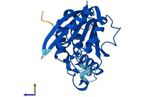 AlphaFold protein structure predicition of Human Recombinant N6AMT1 Protein, UniprotID Q9Y5N5 (N6AMT1 Protein (AA 1-214) (His tag))