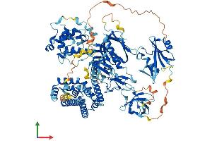 AlphaFold protein structure predicition of Human Recombinant VAV2 Protein, UniprotID P52735