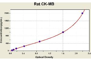 Diagramm of the ELISA kit to detect Rat CK-MBwith the optical density on the x-axis and the concentration on the y-axis. (Creatine Kinase MB ELISA Kit)