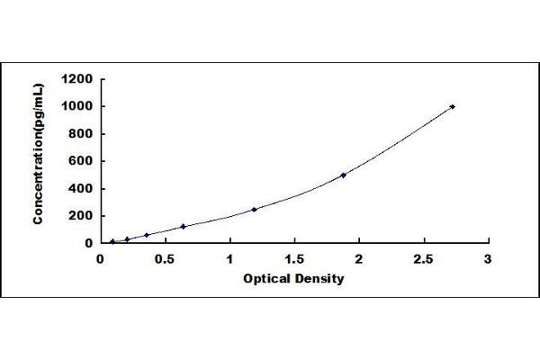 FCGR2B ELISA Kit