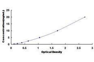 phosphorylase, Glycogen, Liver (PYGL) ELISA Kit