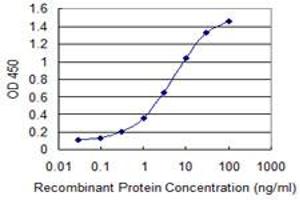 Detection limit for recombinant GST tagged ICT1 is 0. (ICT1 antibody  (AA 107-206))