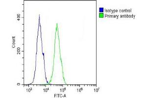 Overlay histogram showing A431 cells stained with (ABIN653043 and ABIN2842656) (green line). (COL17A1 antibody  (AA 475-504))