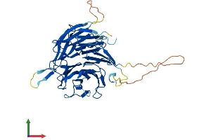 AlphaFold protein structure predicition of Mouse Recombinant Nup43 Protein, UniprotID P59235