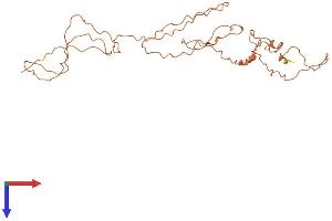 Keratin Associated Protein 10-1 (KRTAP10-1) (AA 1-282) protein (His tag)