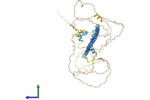 AlphaFold protein structure predicition of Mouse Recombinant Creb3l3 Protein, UniprotID Q91XE9 (CREB3L3 Protein (AA 1-479) (His tag))