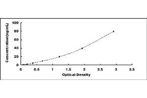 Typical standard curve (CD20 ELISA Kit)