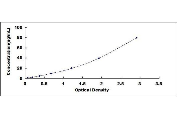 CD20 ELISA Kit