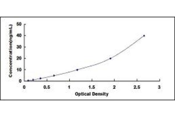 VEGFR2/CD309 ELISA Kit