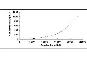Interleukin 28A (Interferon, lambda 2) (IL28A) CLIA Kit