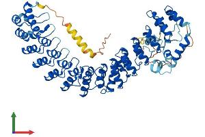 AlphaFold protein structure predicition of Human Recombinant ASB15 Protein, UniprotID Q8WXK1 (ASB15 Protein (AA 1-588) (His tag))
