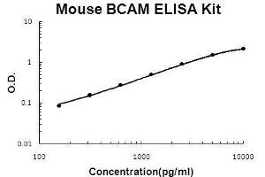 BCAM ELISA Kit