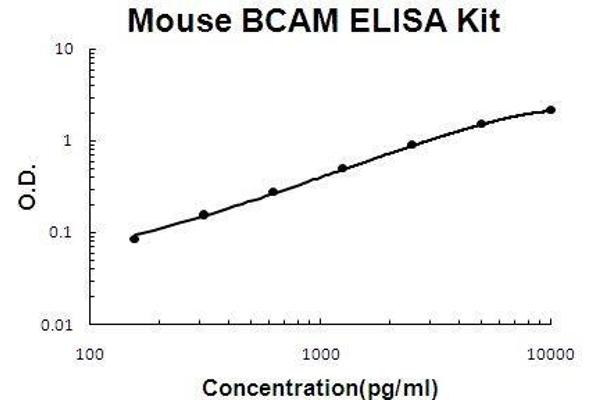 BCAM ELISA Kit