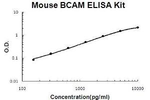 Mouse BCAM PicoKine ELISA Kit standard curve (BCAM ELISA Kit)