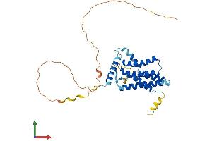 AlphaFold protein structure predicition of Human Recombinant PLPP6 Protein, UniprotID Q8IY26 (PPAPDC2 Protein (AA 1-295) (His tag))