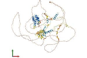 AlphaFold protein structure predicition of Human Recombinant ELOA2 Protein, UniprotID Q8IYF1 (TCEB3B Protein (AA 1-753) (His tag))