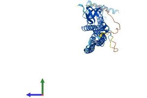 AlphaFold protein structure predicition of Human Recombinant SH3GL3 Protein, UniprotID Q99963 (SH3GL3 Protein (AA 1-347) (His tag))