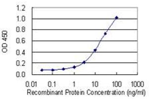 Detection limit for recombinant GST tagged ANK1 is 0. (Erythrocyte Ankyrin antibody  (AA 1-155))